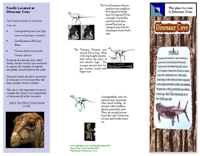Australian Fossil Site Brochure - Robyn